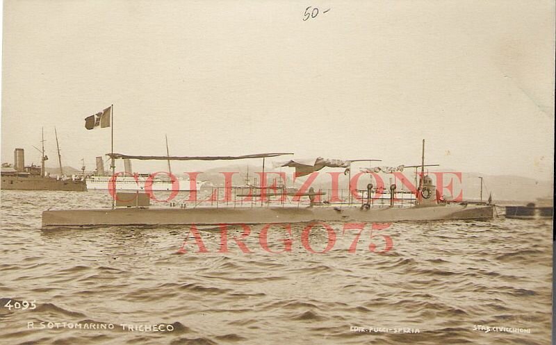 Smg-TRICHECO_coll.ARGO75.800.jpg